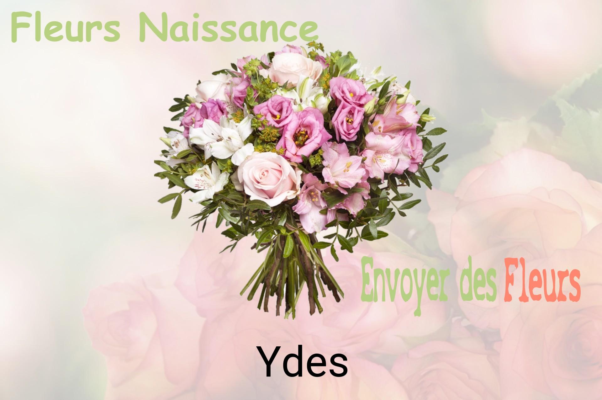 Bouquet de fleurs de naissance livré à Ydes